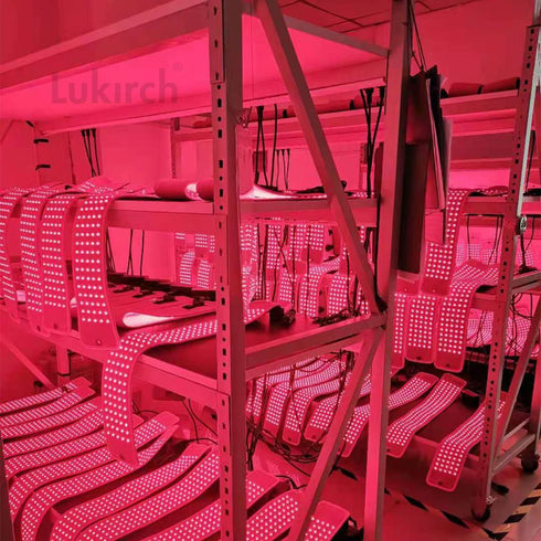 lukirch red infrared led light therapy belt with 75 leds and 660nm 850nm, aging in factory